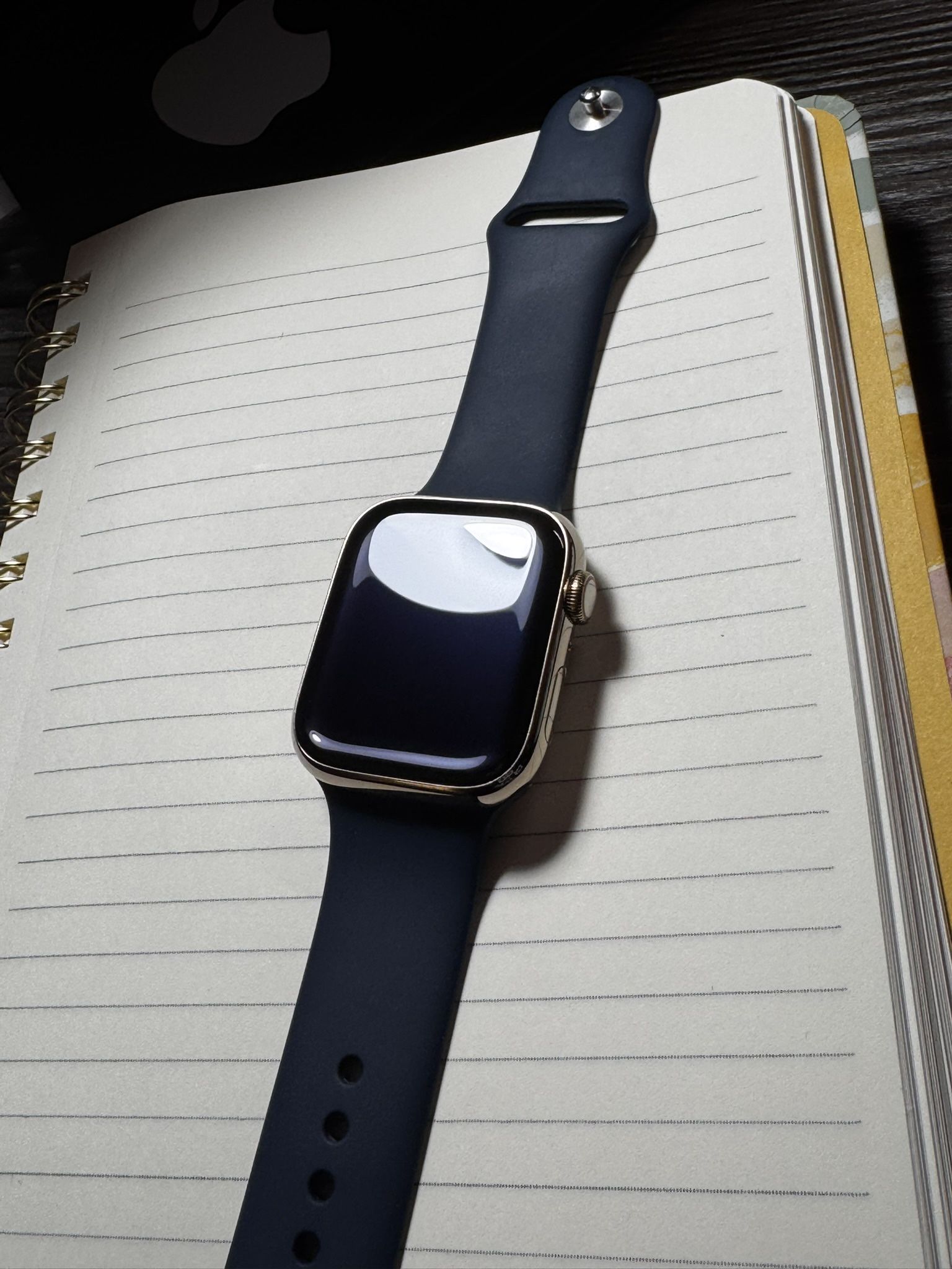Apple Watch Series 7 45mm