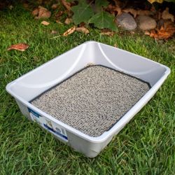 Cat Litter Box