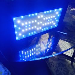 Luz Led D Pecera