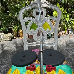 PAIR OF STANDARD SIZE 25 LB. PLATES  &  CURL BAR 