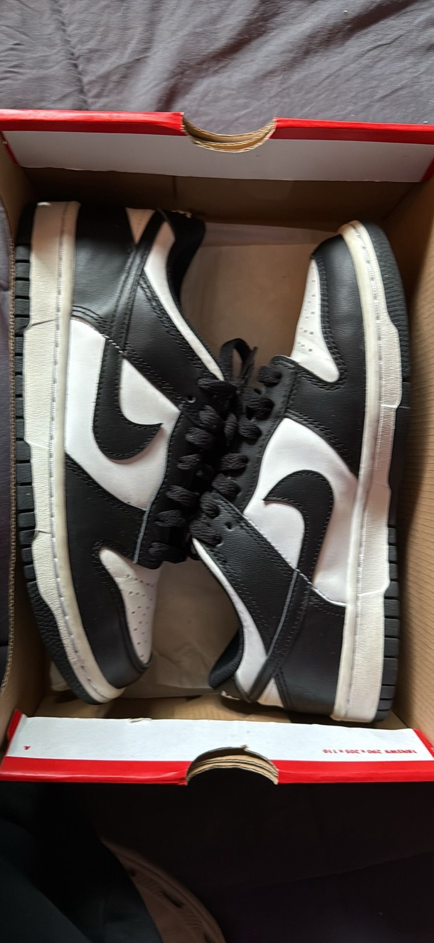Nike Dunk Low