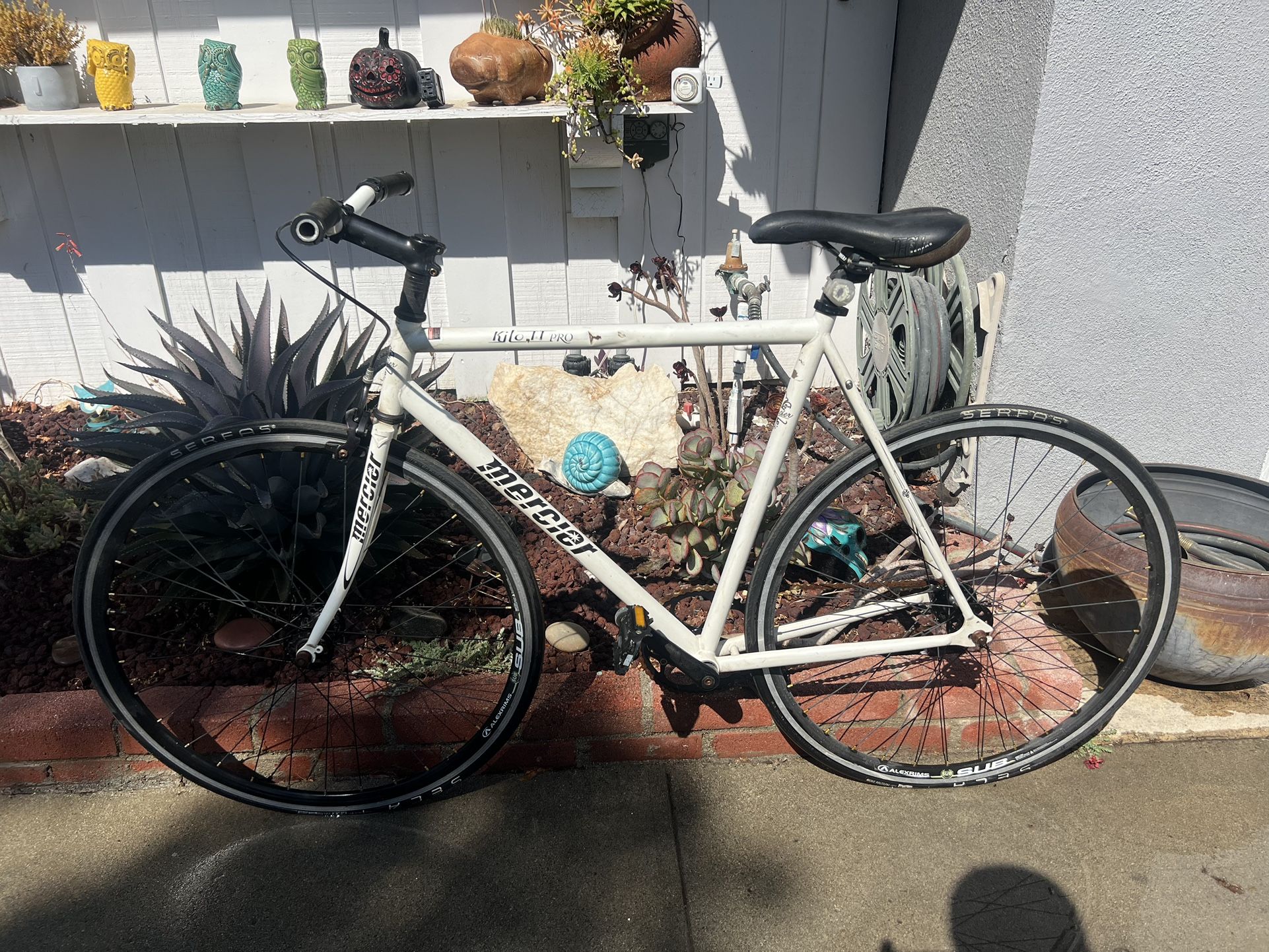 Mercier Kilo tt Fixed Gear Bike