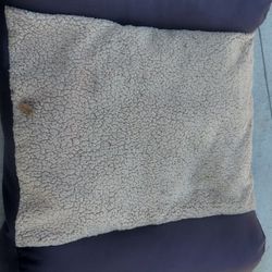 Large Dog Bed