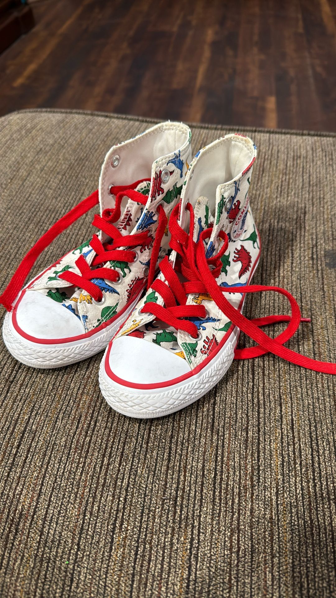 Kids Converse Dinosaur Shoes Size 13