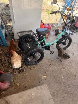 Electric bike SALINAS CA