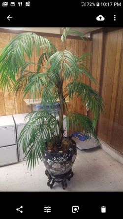 Koi Pond Bowl with Artificial Palm
