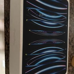 I pad pro 11 inch (4th gen )