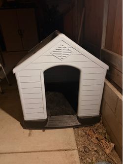 Dog House