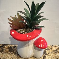 Mushroom Succulent