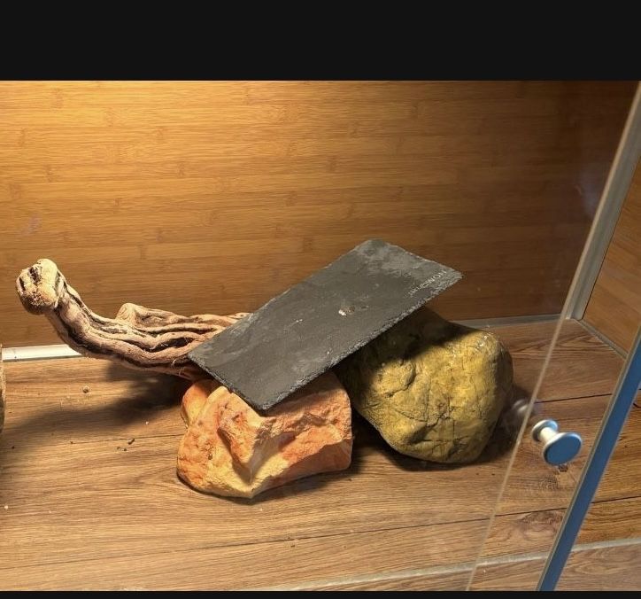 Reptile Accessories Only