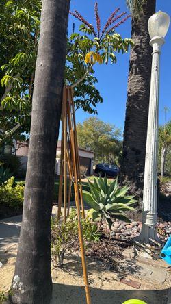 wood umbrella frame  free curb pick up