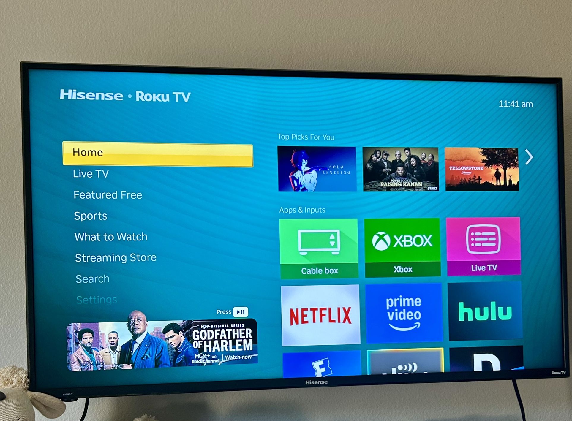 ROKU TV HISENSE 44” Wall Mount Include