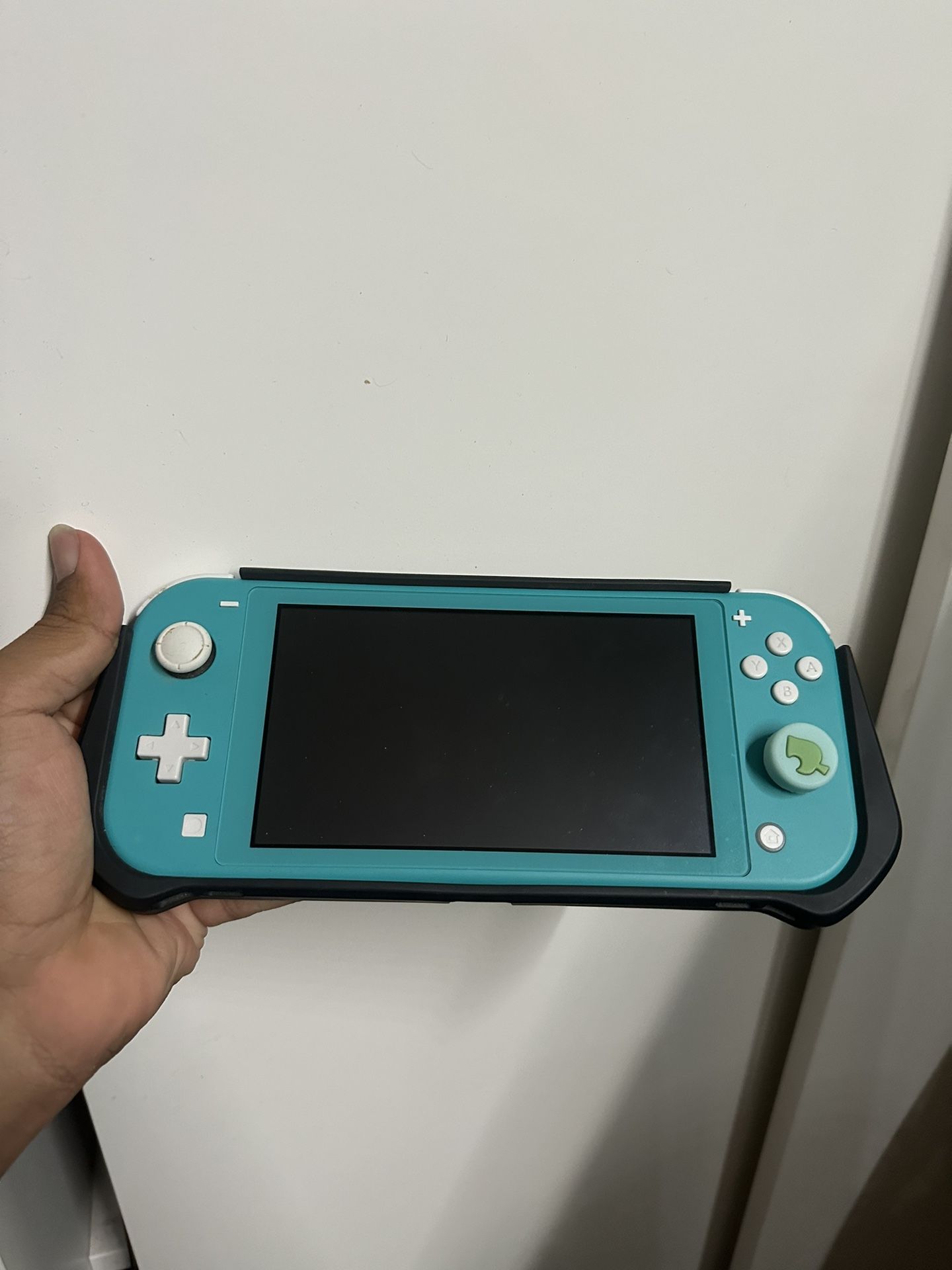 Nintendo Switch Light No Charger