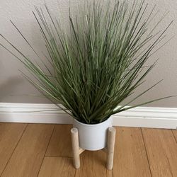 Fake Plant 