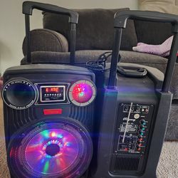 Blue tooth  rechargeable 10inch Dj speakers  with Led lights