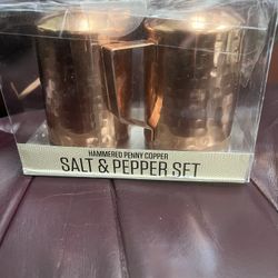 Penny Copper Salt Pepper Shaker