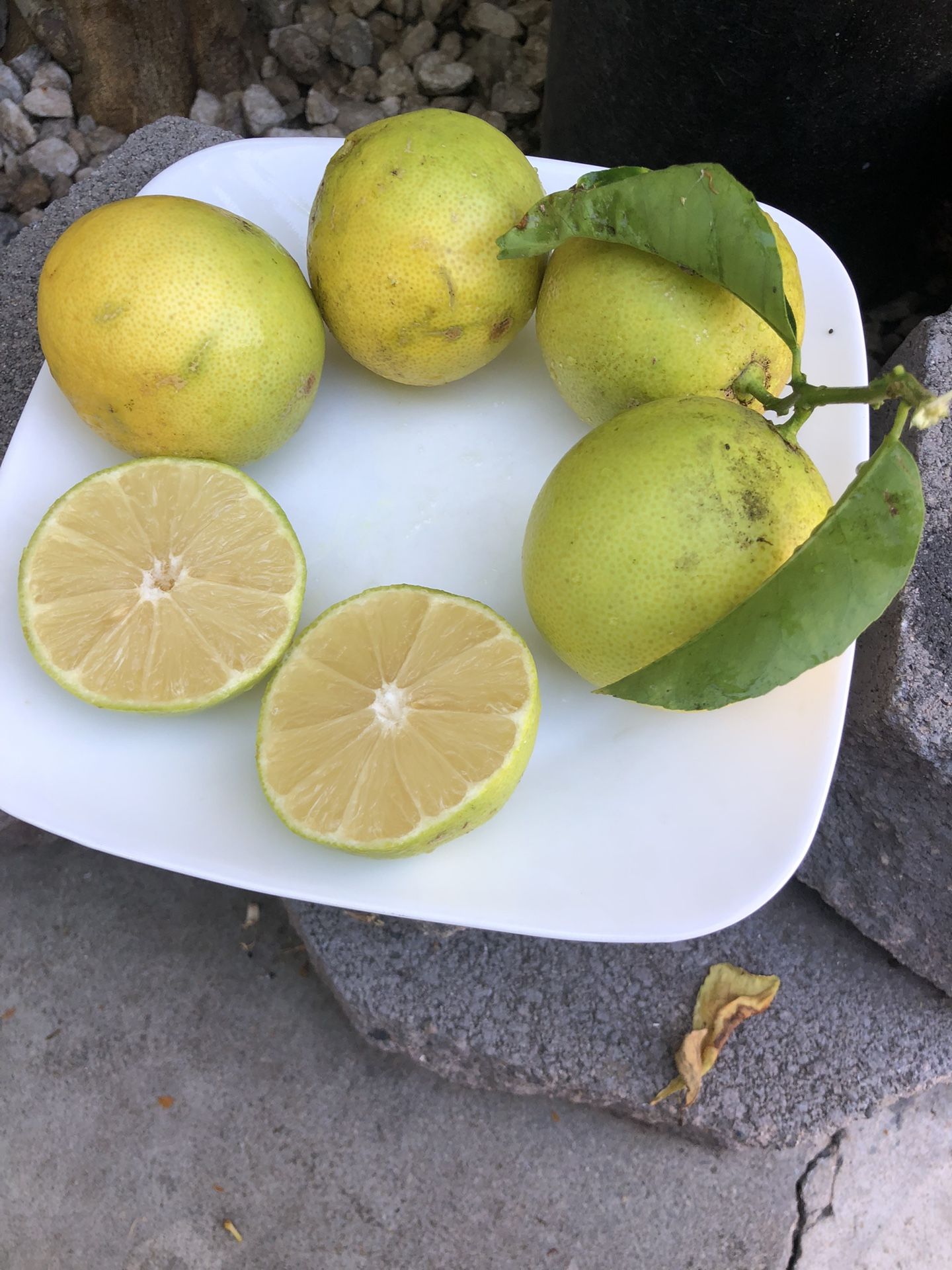 Sweet Limes. ( Limas Dulces!)