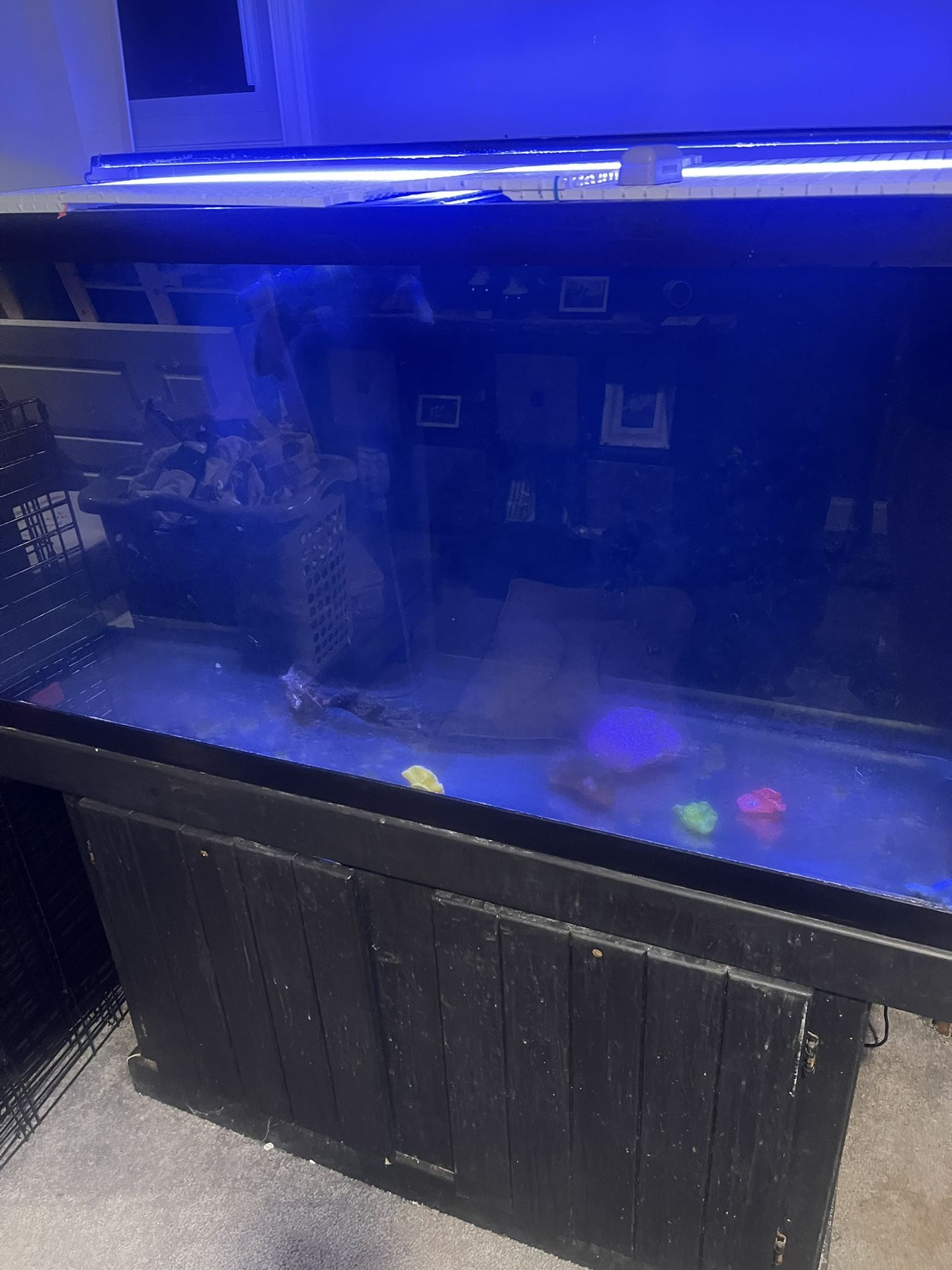 90 Gallon Reef Ready Aquarium