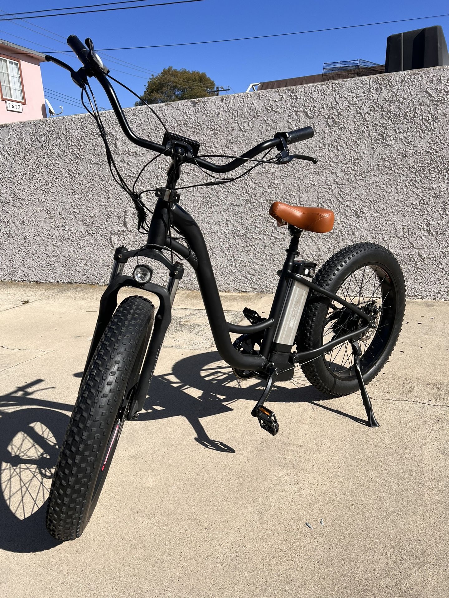 Big cat long beach cruiser xl new arrivals