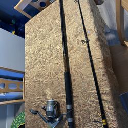 Fishing Pole