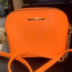 Steve Madden Purse 