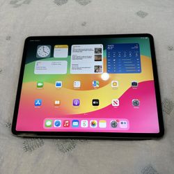 iPad Pro 4th Generation 256gb