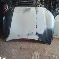 2020 - 2024 Hyundai Palisade Hood 