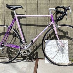 59cm Nishiki Sport Series Prestige Made In Japan 🇯🇵