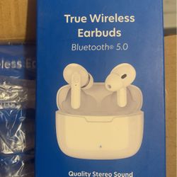 Wireless Earbuds 