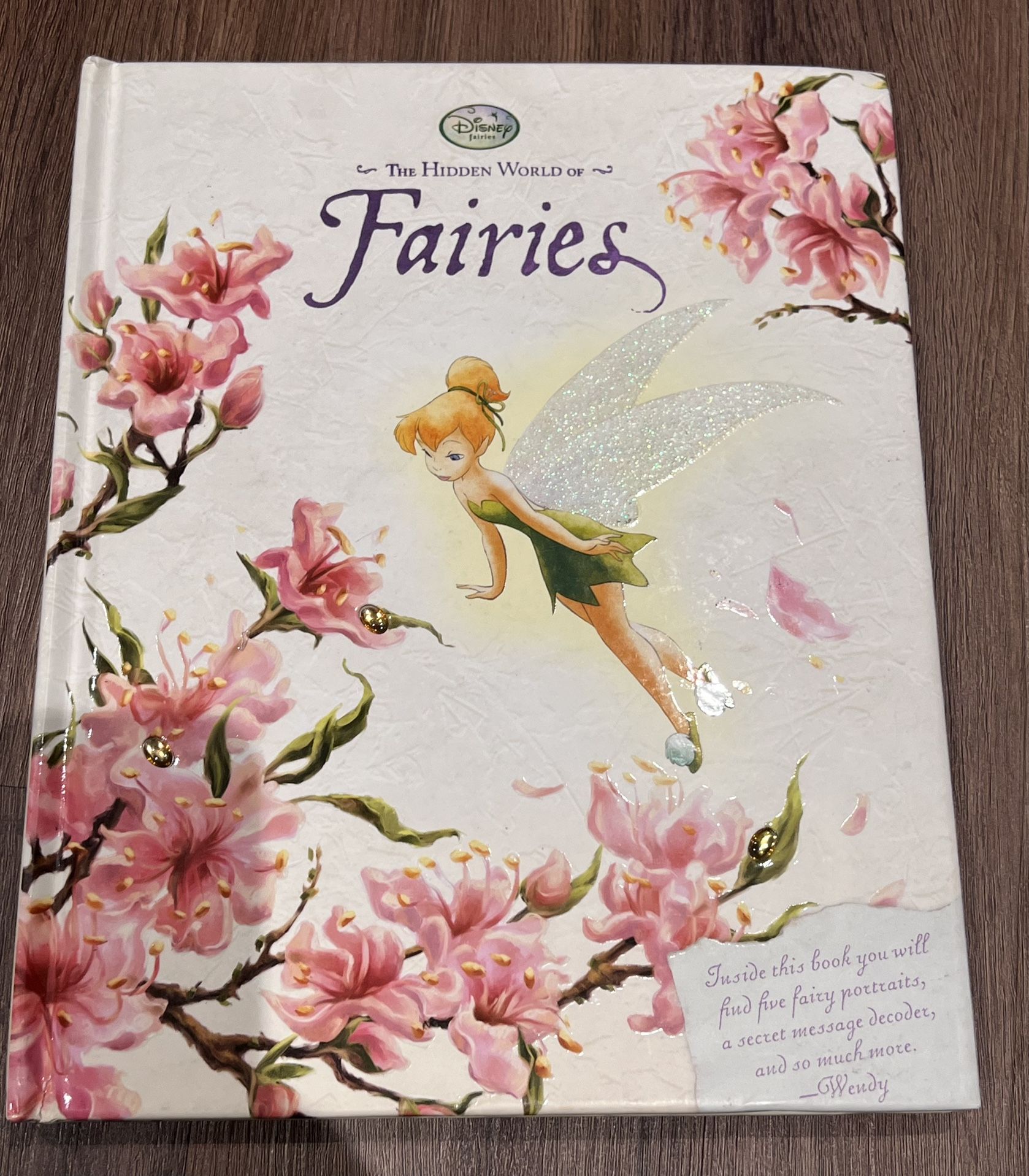 Disney’s The Hidden World Of Fairies. Used Book 