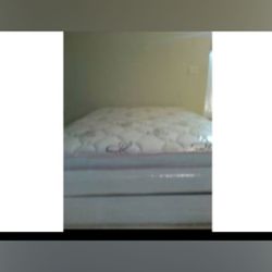 Queen bed pillow top can deliver new