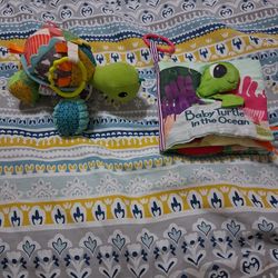 Turtle Items Bx34 P .5