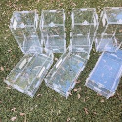 Small Zilla Acrylic Enclosures