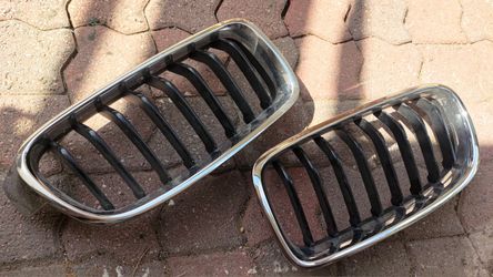 BMW Pair Grilles Not Sure Model? Sport