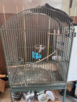 Bird cage
