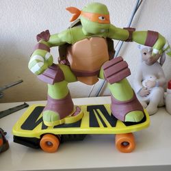 Skateboarding Mikey TMNT

