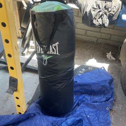Punching Bag Just Need Everything Gone 