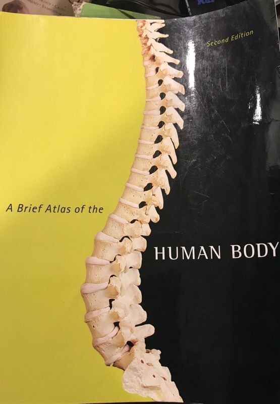 A brief Atlas of the HUMAN BODY 2nd edition