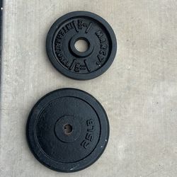 25 lb & 5 lb York Barbell weight