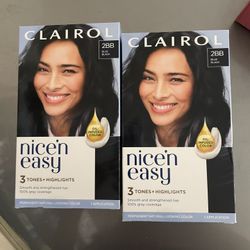 Clairol Nice N Easy 