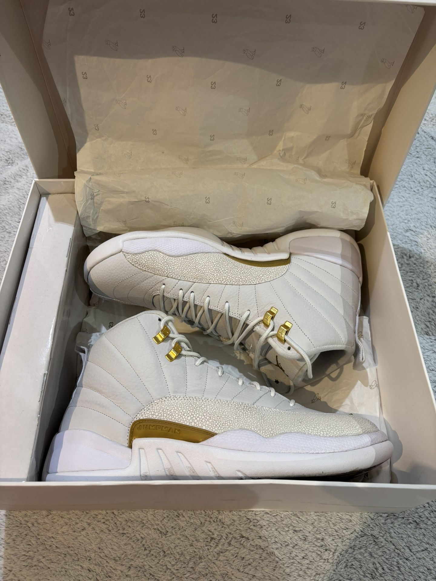 OVO Jordan 12 shoes 