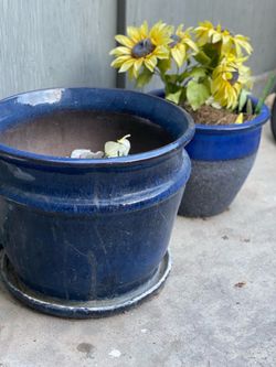 Flower pots