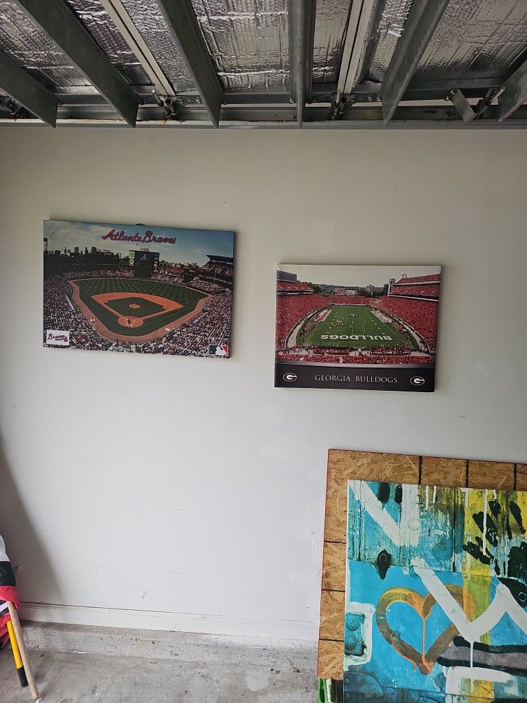 Ga Bulldogs And Atlanta Braves
