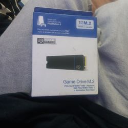 Ps5 Gamedrive