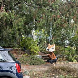🐿️  Homemade Giant Squirrel Costume For Halloween!