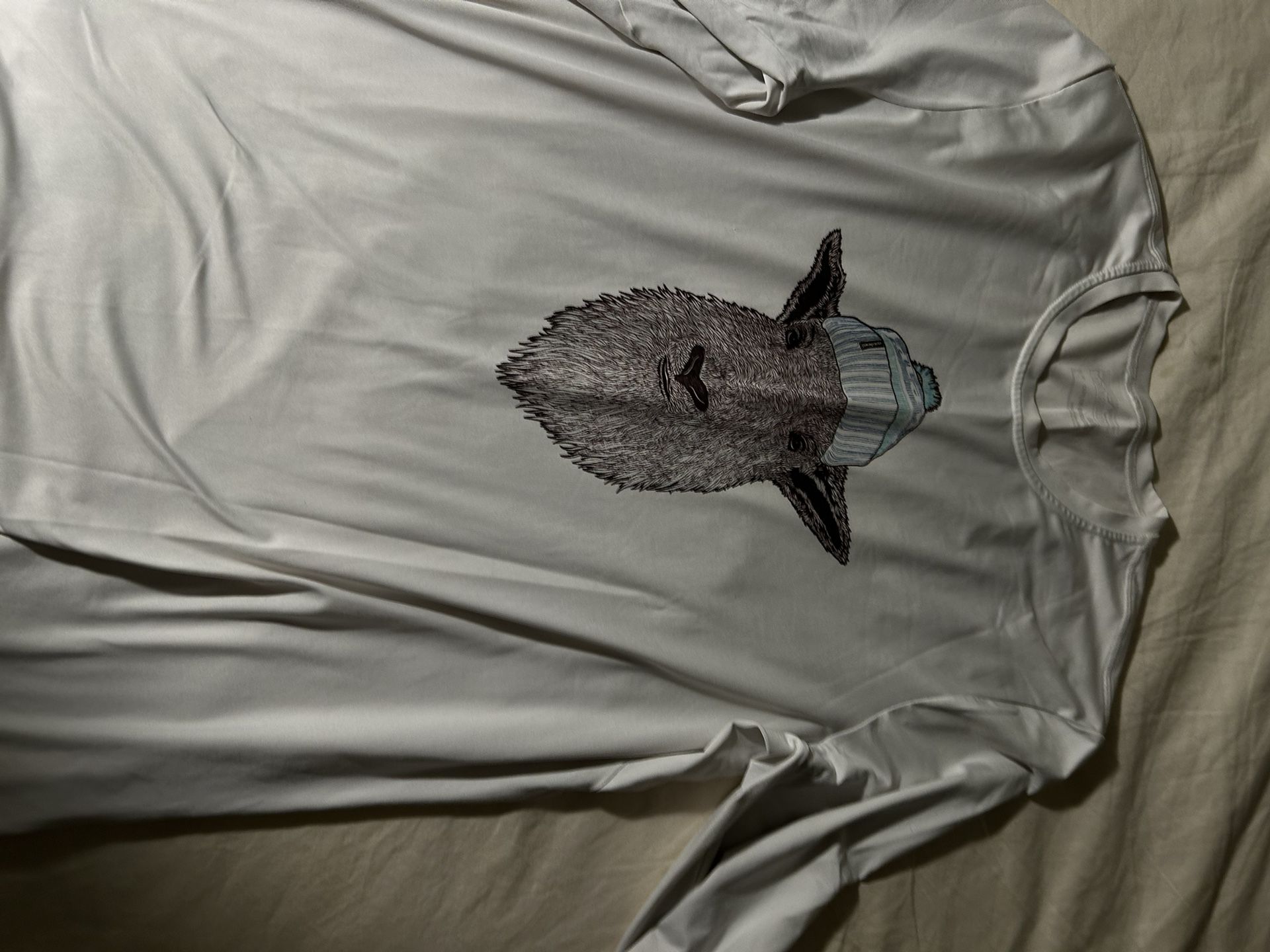 White/grey Long Sleeve Patagonia Limited