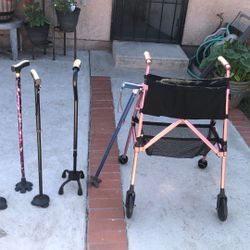Walker And Canes Different Prices