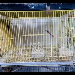Cage For Cockatiel