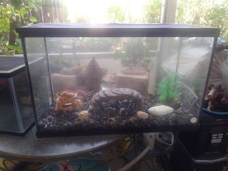 29 gallon reptile tank