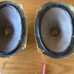 BOSE 6x9 Speakers